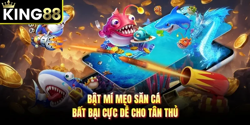 Bật mí mẹo săn cá bất bại cực dễ cho tân thủ