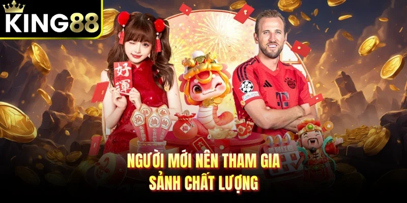 Người mới nên tham gia sảnh chất lượng