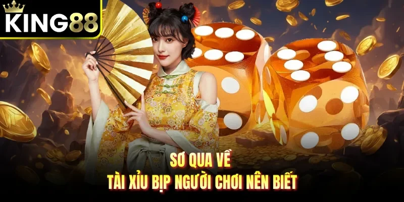 Sơ qua về tài xỉu bịp người chơi nên biết 